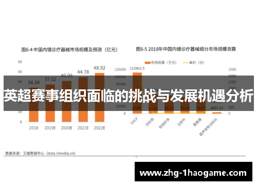 英超赛事组织面临的挑战与发展机遇分析